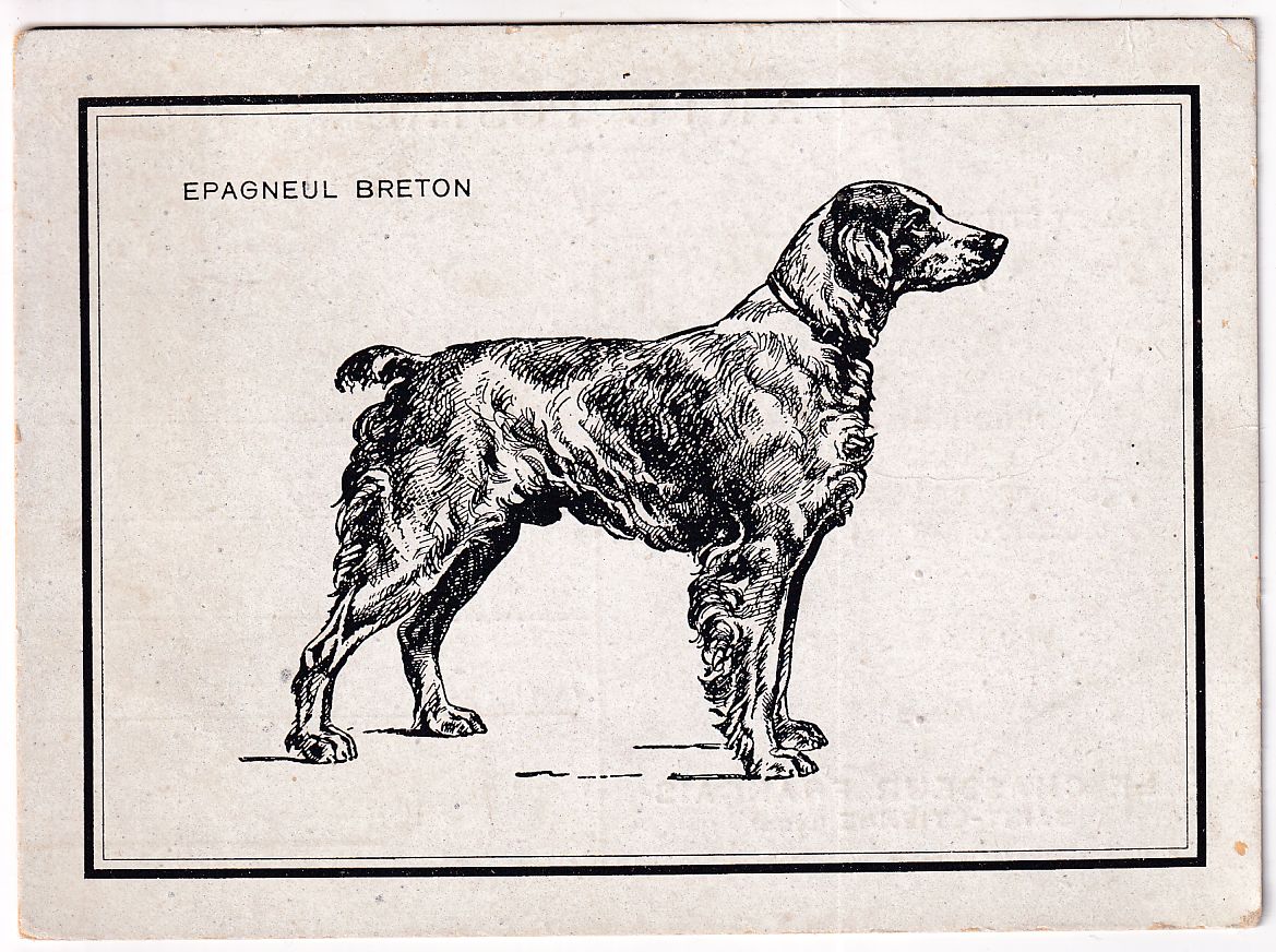 Carte Postale le chasseur francais chien épagneul breton