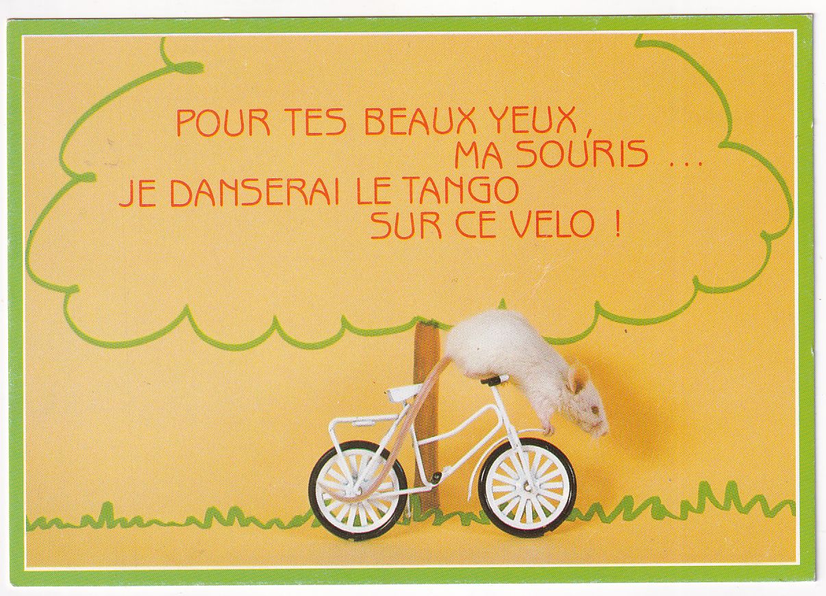 Carte Postale vélo souris blanche la danse du tango