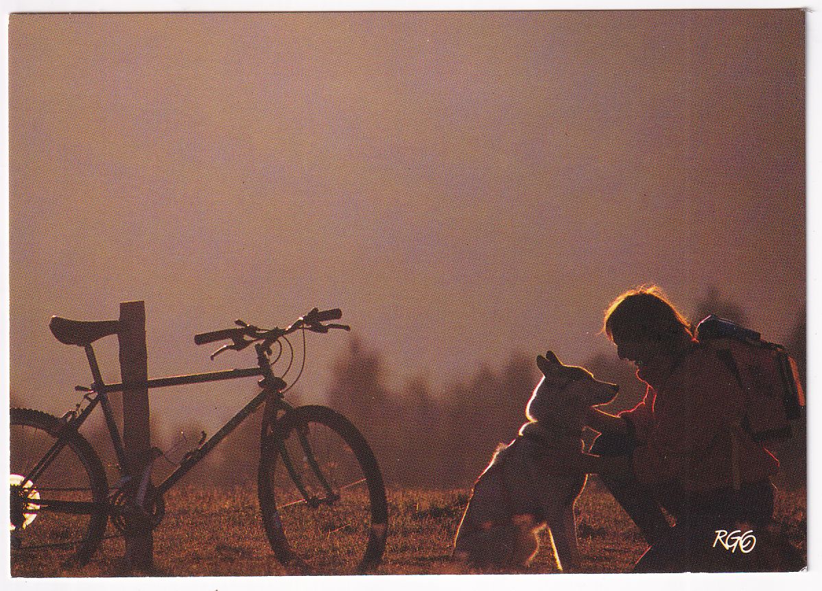 Carte Postale vélo sport d'été deux amis chiens husky