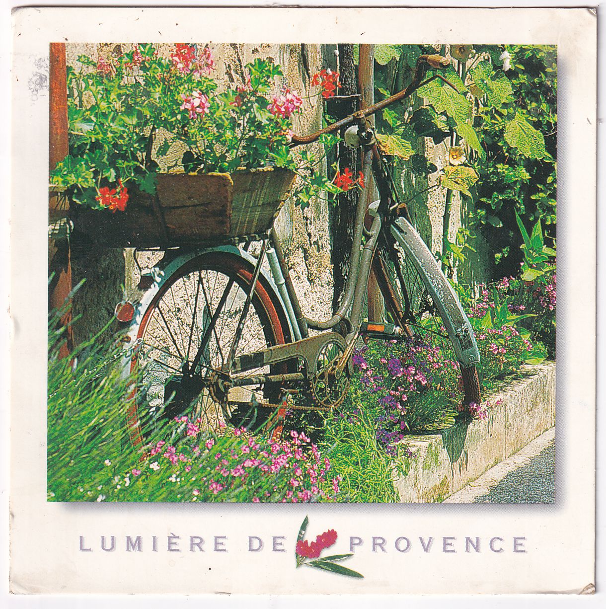 Carte Postale vélo lumière de Provence cachet postal Cogolin