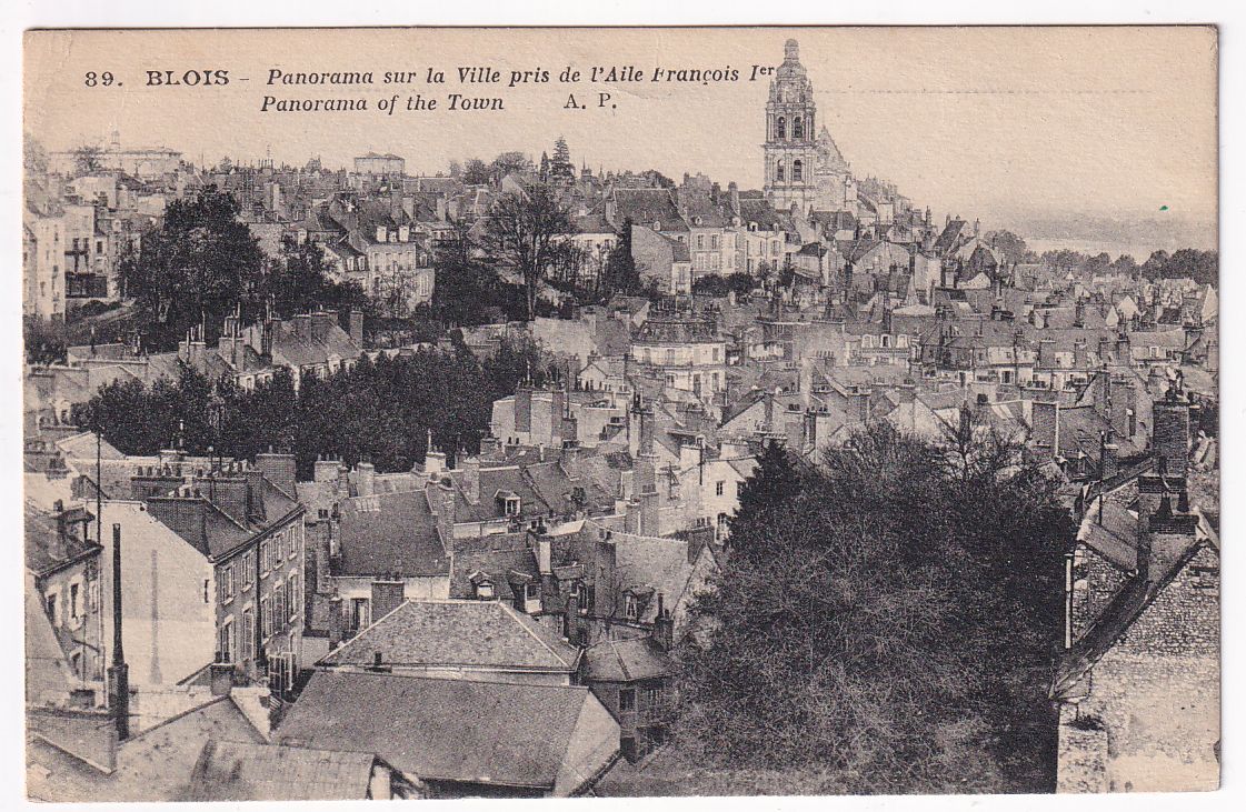 Carte postale Blois panorama sur la ville pris de l'aile François 1°