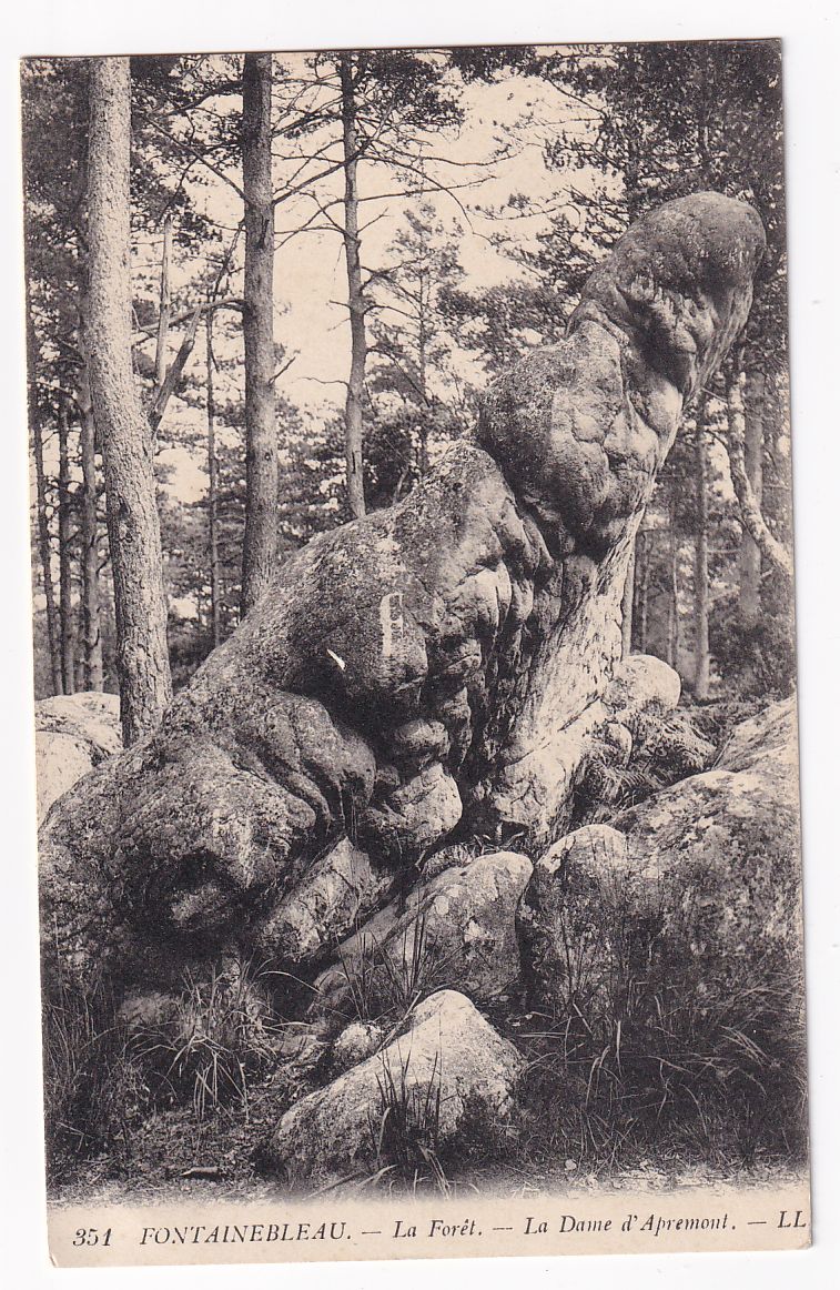 Carte postale fontainebleau la forêt la dame d'Apremont