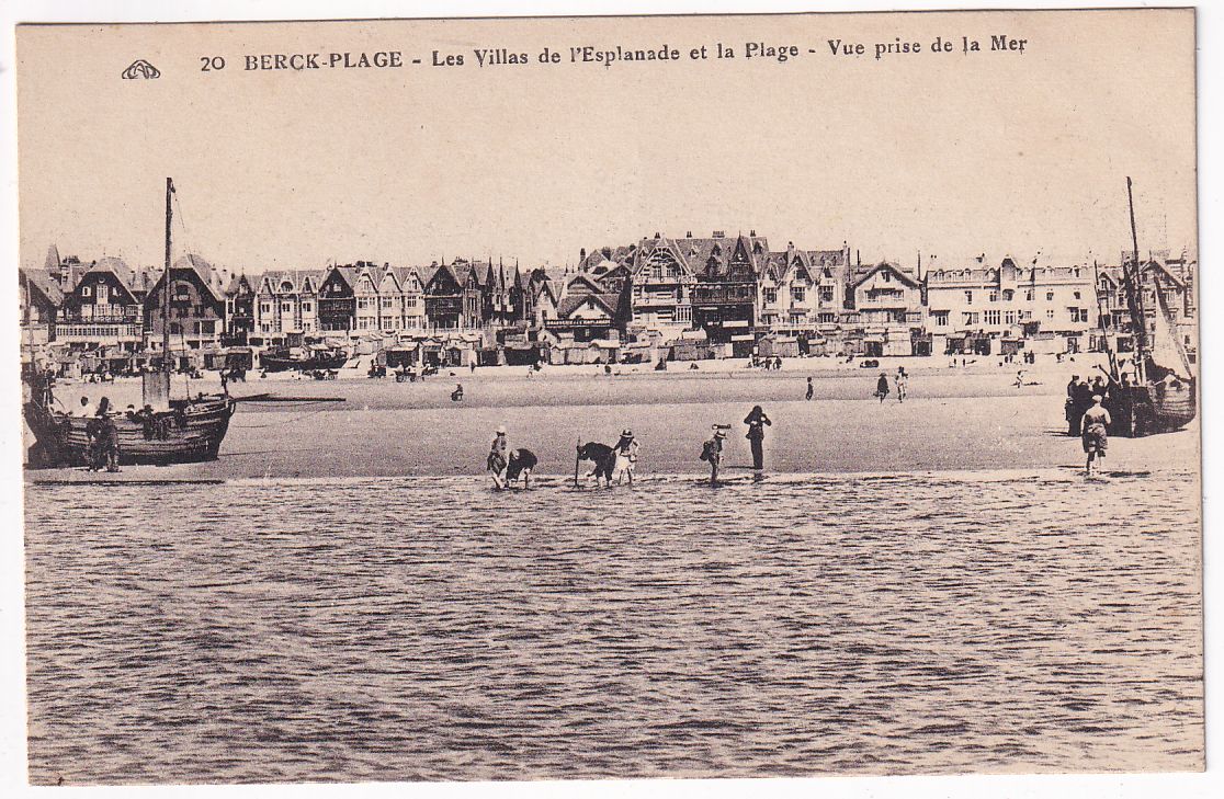 Carte postale Berck plage les villas de l'esplanade et la plage vue prise de la mer