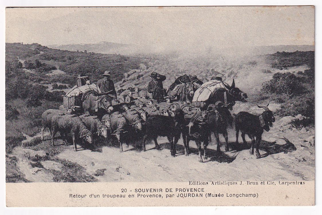 Carte postale Souvenir de Provence retour d'un troupeau par Jourdan