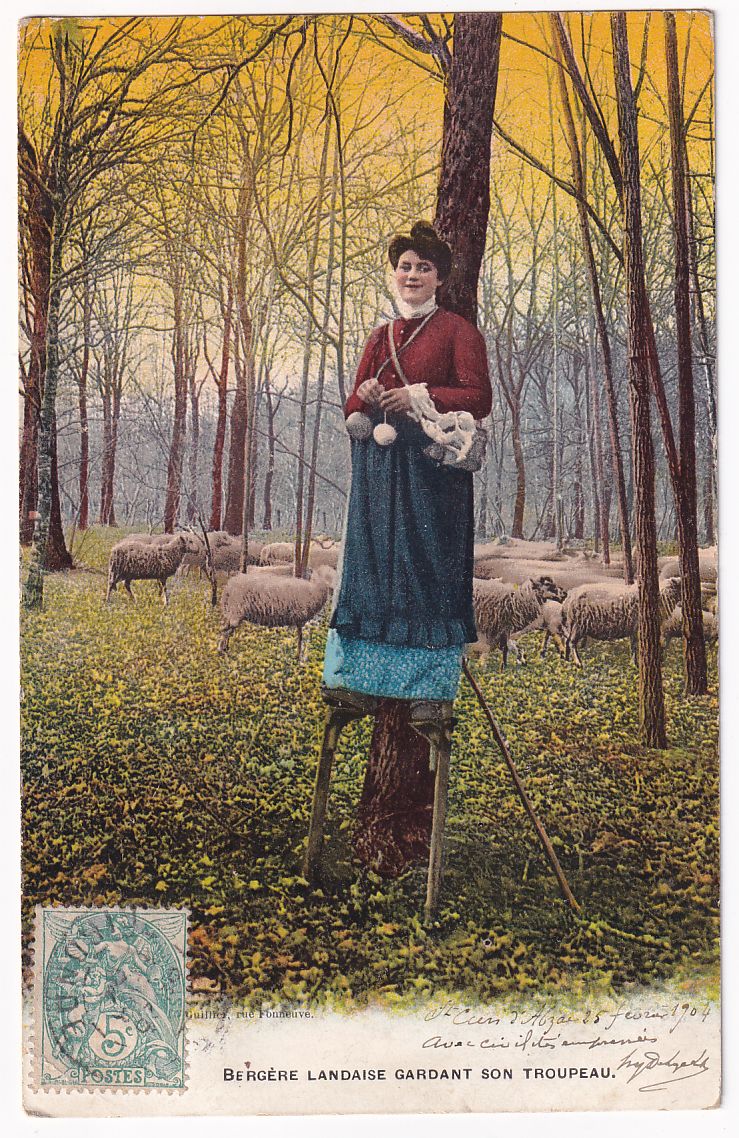 Carte postale Bergère Landaise gardant son troupeau