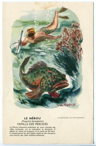 BUVARD LE MEROU AU DOS STHENYL VITAMINE 110616233140