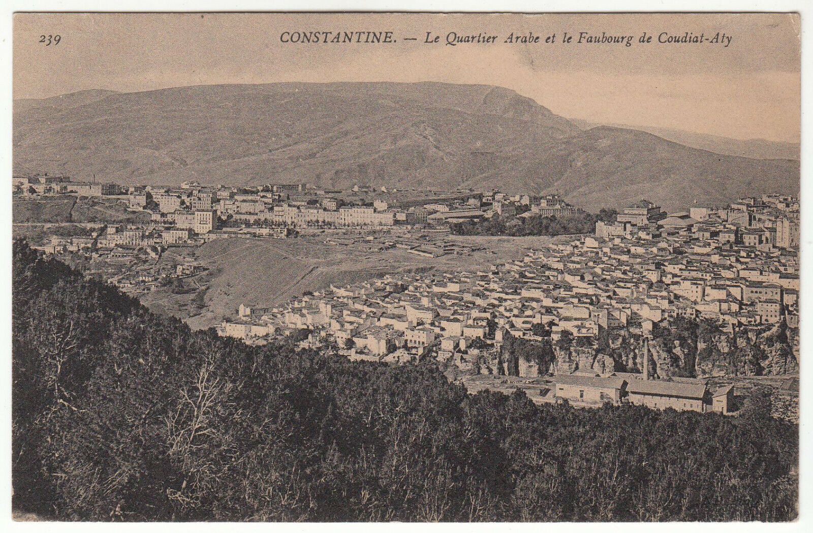 CARTE POSTALE CONSTANTINE LE QUARTIER ET LE FAUBOURG DE COUDIAT ATY 401942751030