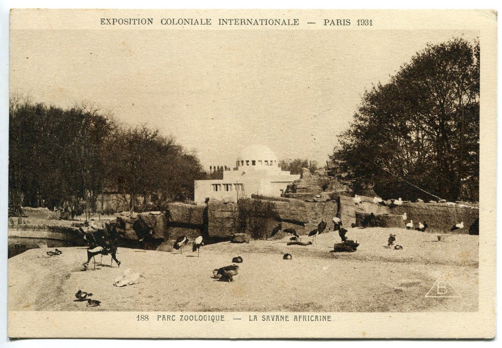 CARTE POSTALE EXPO COLONIALE PARIS LA SAVANE AFRICAINE 400817760540