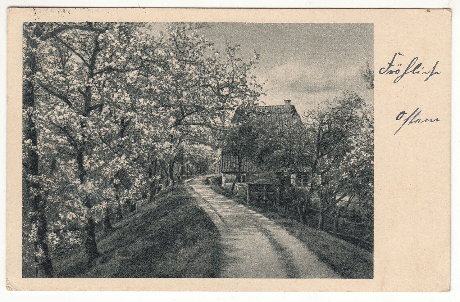 CARTE POSTALE FANTAISIE ALLEE FLEURIE MAISON 122268334290