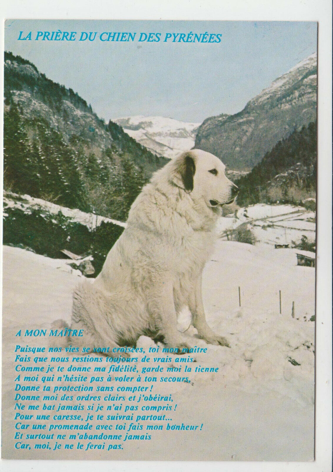 CARTE POSTALE MODERNE CHIEN DES PYRENEES LA PRIERE A MON MAITRE 123949434830