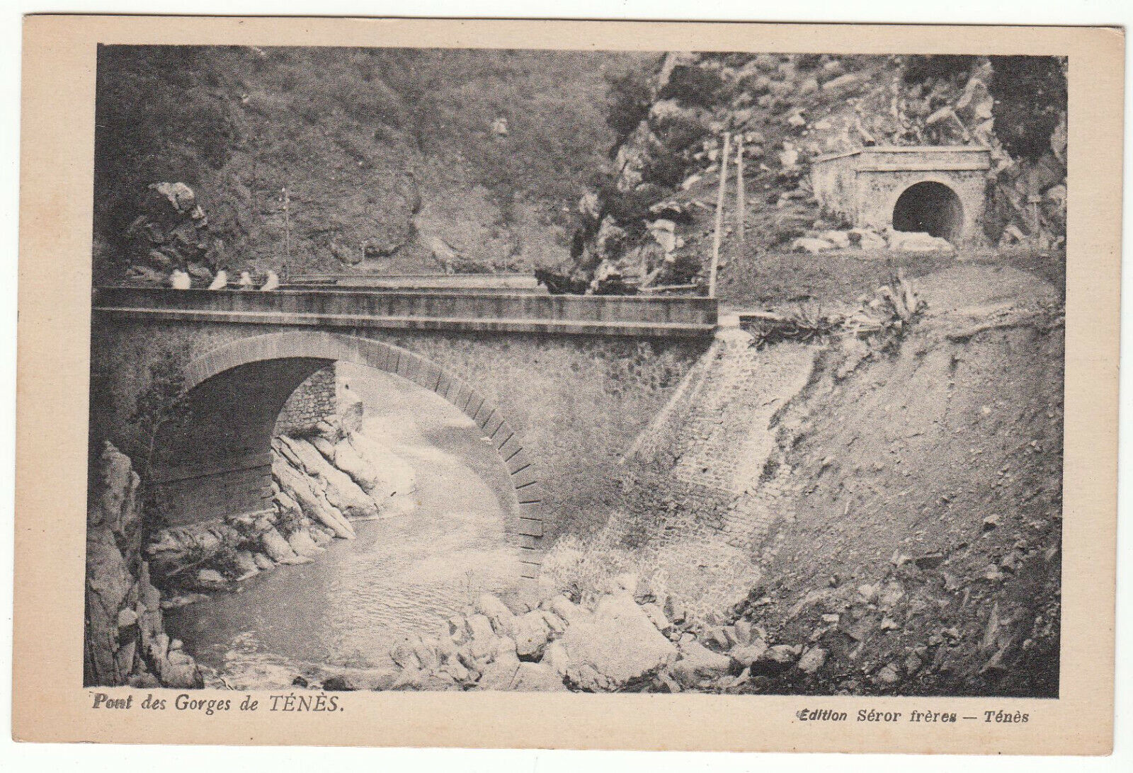 CARTE POSTALE PONT DES GEORGES DE TENES 123961091610