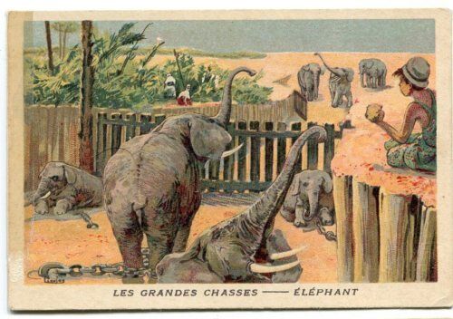 CHROMO LES GRANDES CHASSES ELEPHANT 110615822600