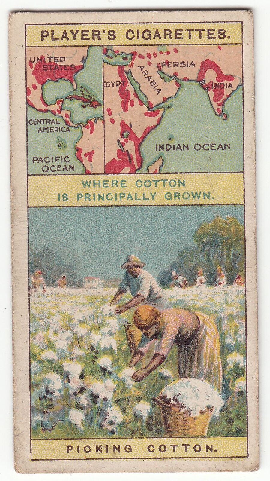 CHROMO PLAYER S CIGARETTE PLANTATION DE COTON AMERIQUE ET OCEAN INDIEN 401181301250