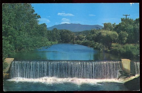 CP USA PIGEON FORCE DAM WITH MT 120679500060