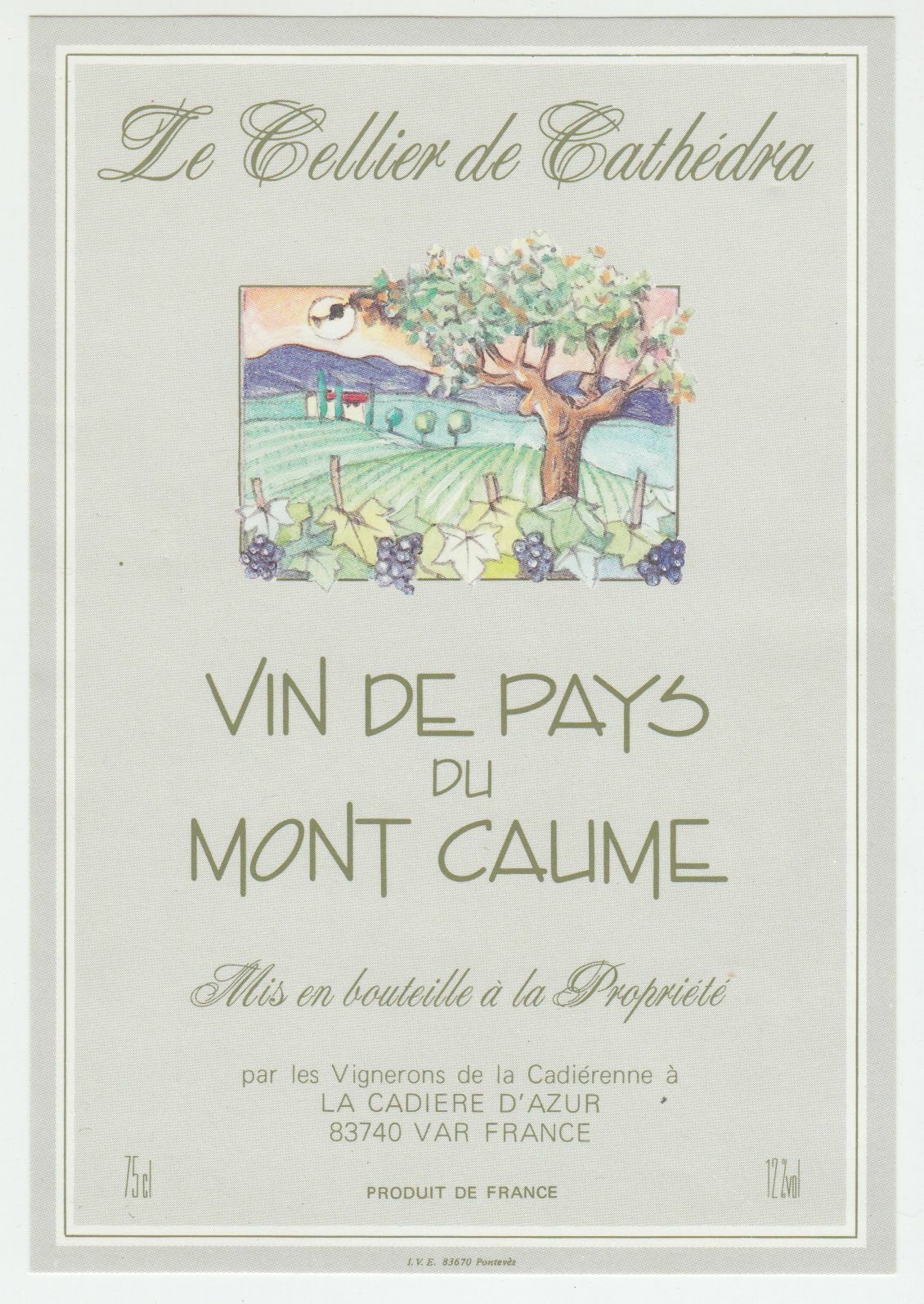 ETIQUETTE DE VIN DU MONT CAUME LE CELLIER DE CATHEDRA LA CADIERE 124570864120