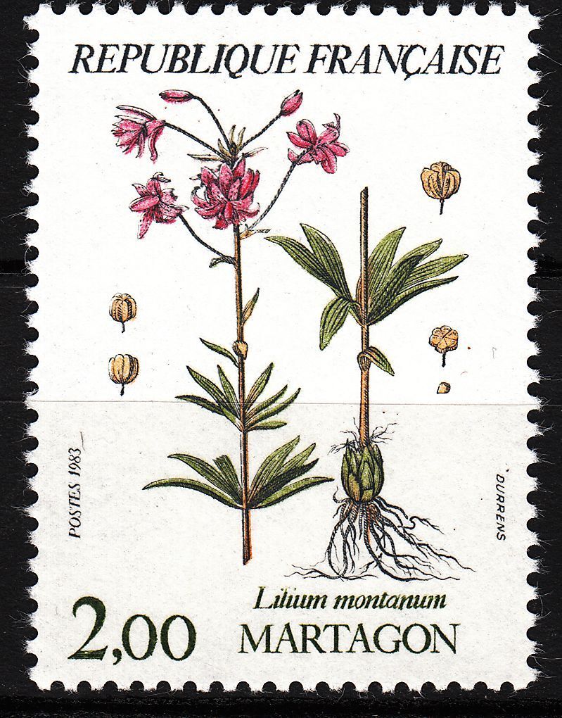 FRANCE TIMBRE NEUF N 2267 FLORE MARTAGON LILIUM MONTANUM 401033726510