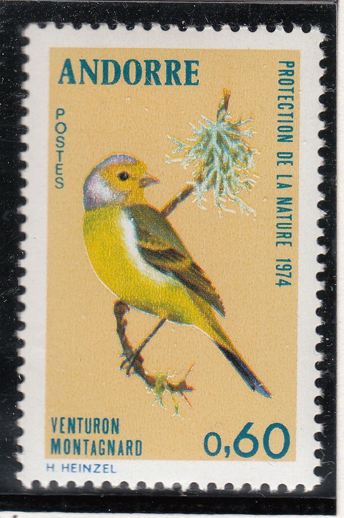 TIMBRE ANDORRE FRANCE NEUF N 240 OISEAUX VENTURON MONTAGNARD 401246250150