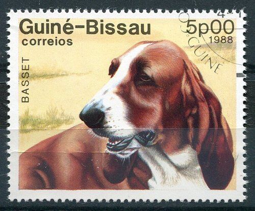 TIMBRE CHIEN DE RACE BASSET 110750462290