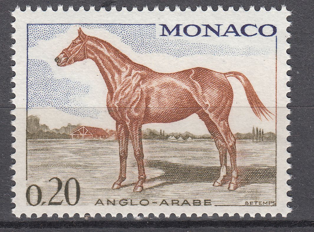 TIMBRE MONACO NEUF N 832 CHEVEAUX DE SANG CHEVAL ANGLO ARABE 401586015470