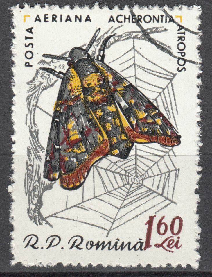 TIMBRE ROUMANIE OBL PA N 124 PAPILLON SPHYNX TETE DE MORT 402005410450