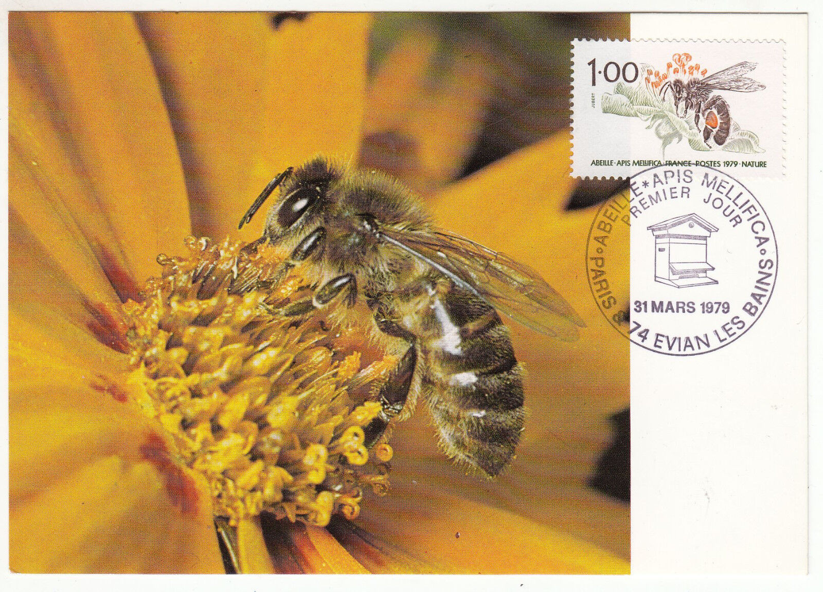 CARTE MAXIMUM FDC 1979 TIMBRE N 2039 ABEILLE APIS MELLIFICA NATURE 122833713251