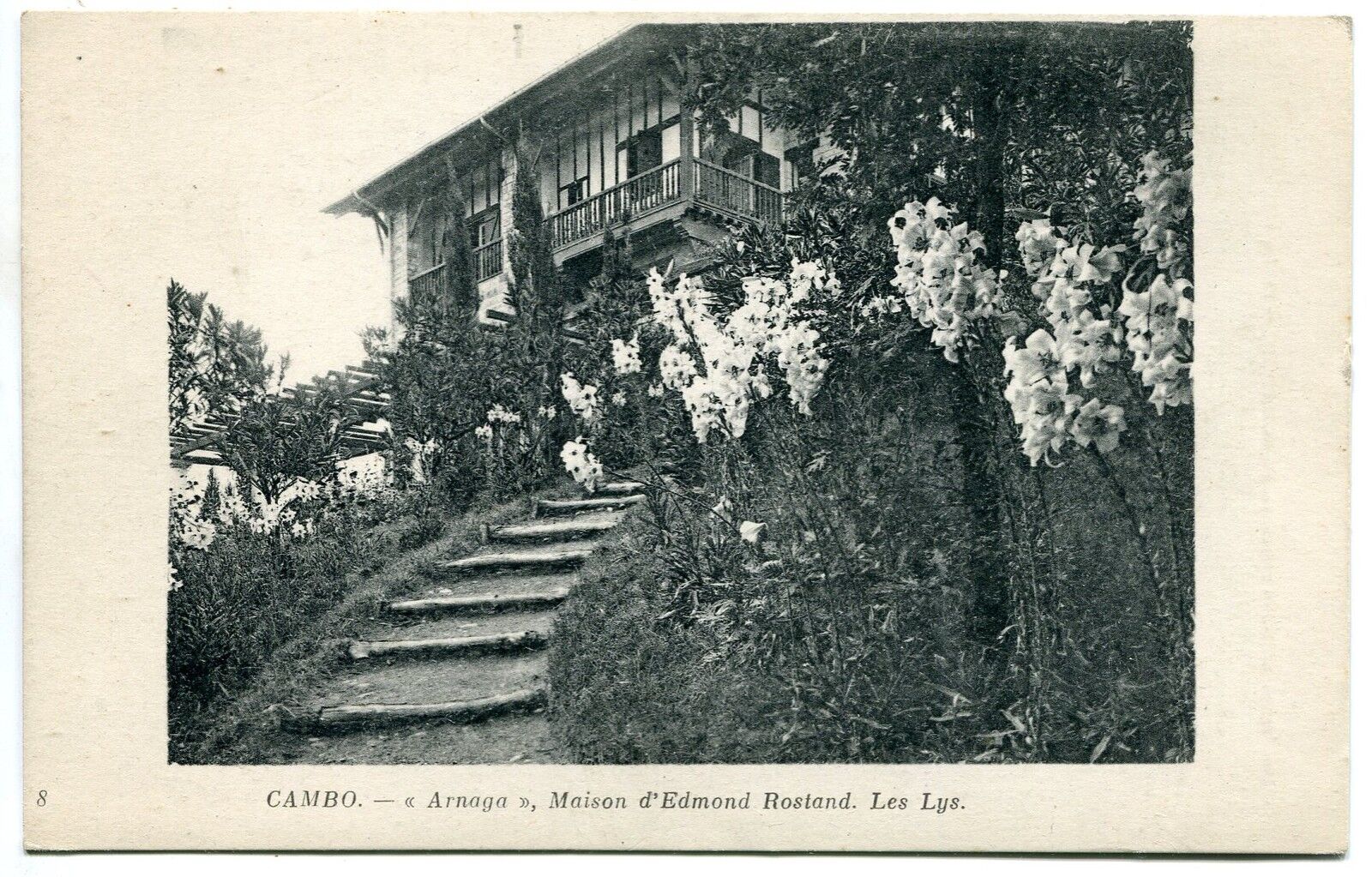 CARTE POSTALE CAMBO ARNAGA MAISON D EDMONT ROSTAND LES LYS 121300975581