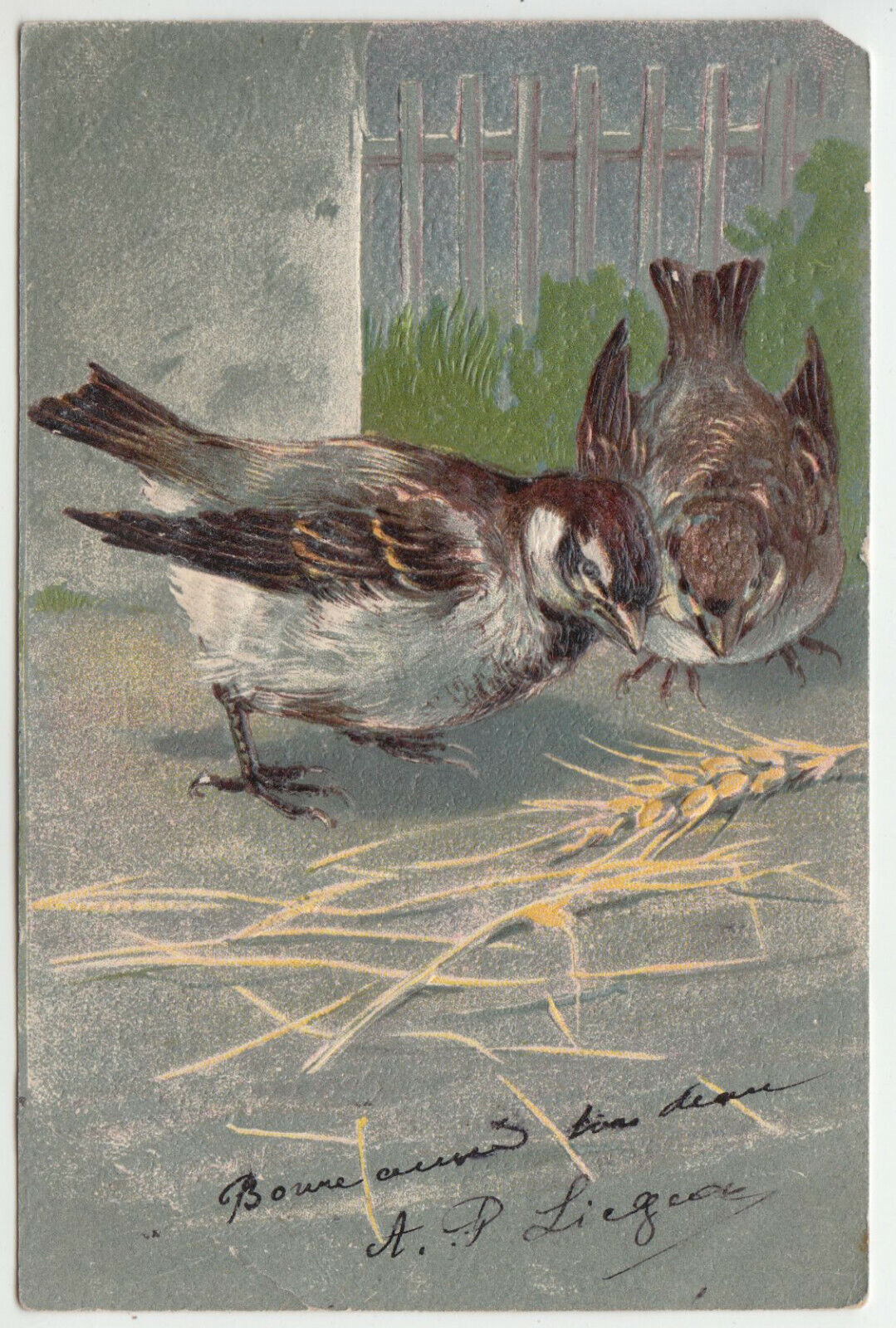 CARTE POSTALE FANTAISIE OISEAUX EN RELIEF 1909 124761908551