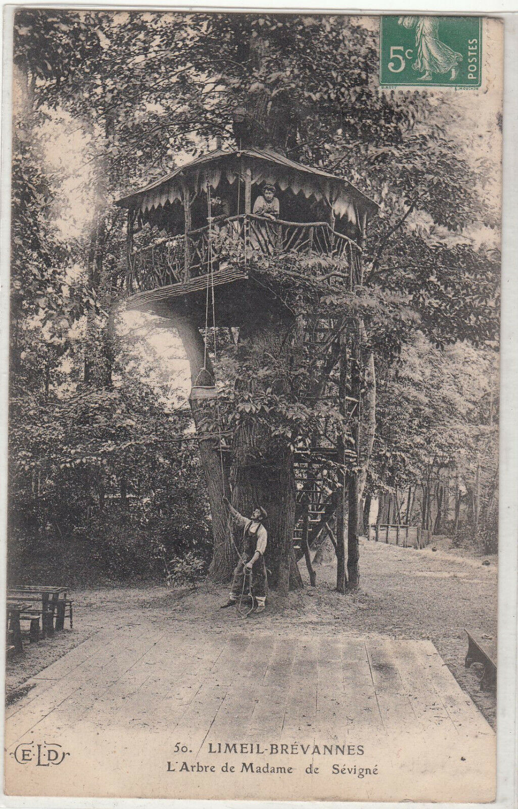 CARTE POSTALE LIMEIL BREVANNES L ARBRE DE MADAME DE SEVIGNE 123952169191