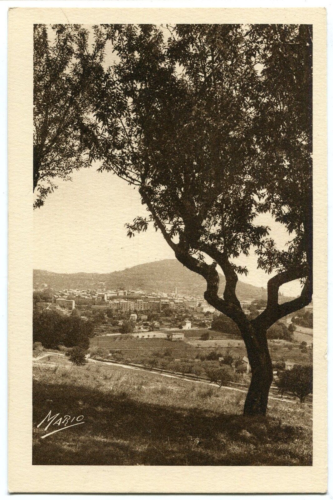 CARTE POSTALE MANOSQUE VUE GENERALE DE MARIO 121481164481