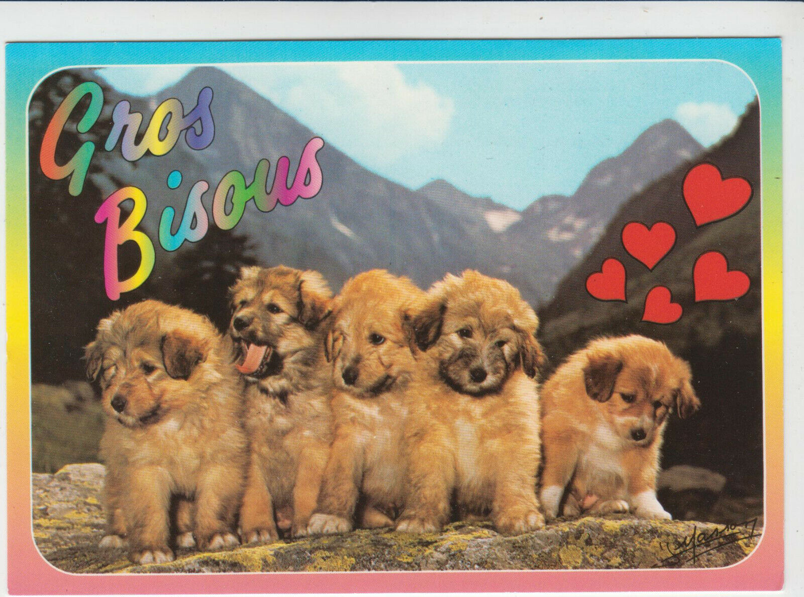 CARTE POSTALE MODERNE CHIEN LA FAMILLE DES JEUNES LABRITS 123949432741