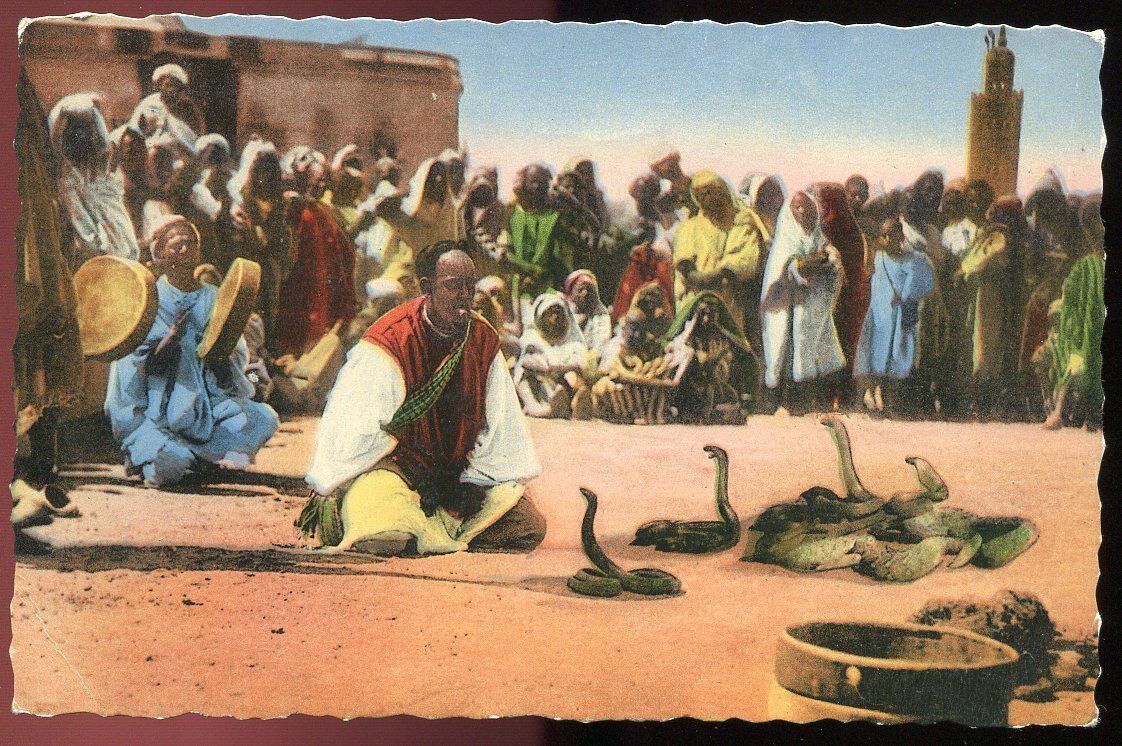 CP SCENES ET TYPES CHARMEUR DE SERPENTS N 1356 AFRIQUE 120807246161