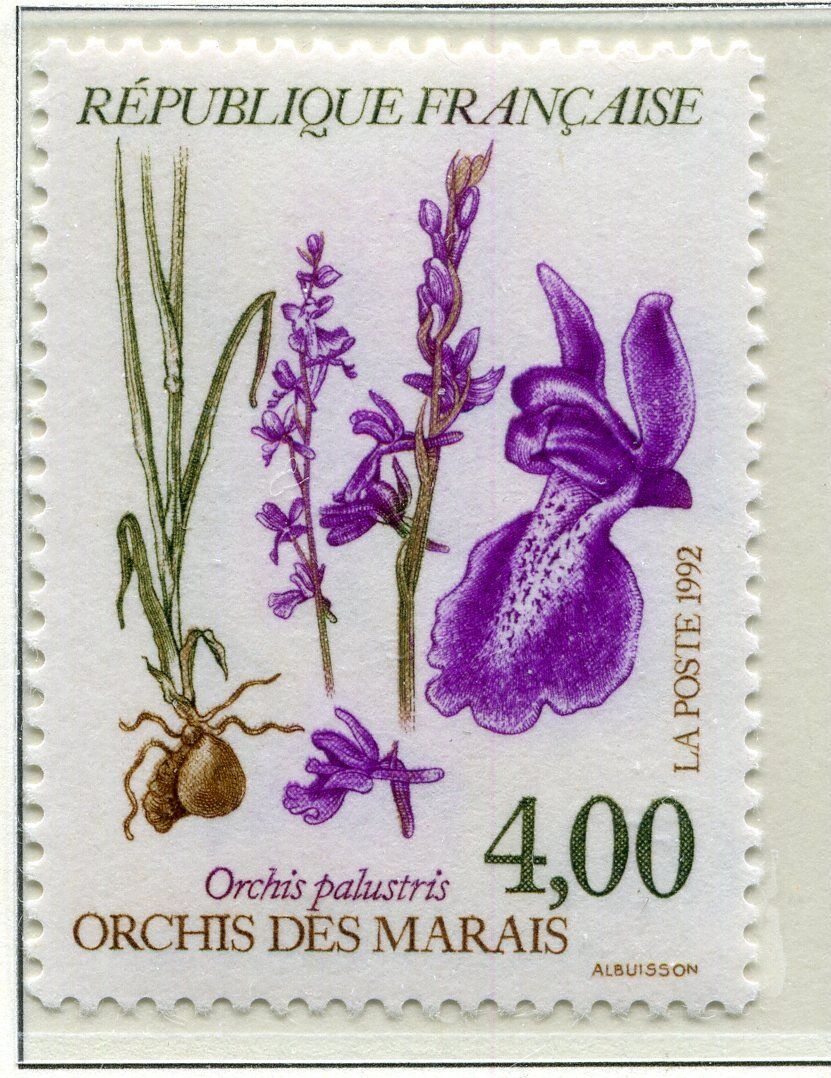 FRANCE TIMBRE NEUF N 2768 ORCHIS DES MARAIS 121493510191