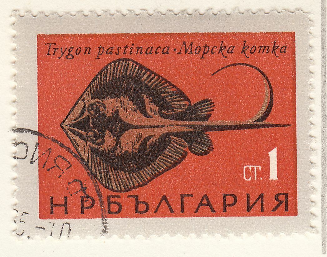 TIMBRE BULGARIE OBL N 1328 POISSON TRYGON PASTINACA 402043423141