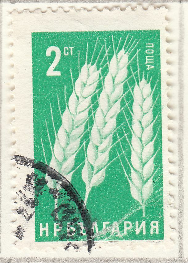 TIMBRE BULGARIE OBL N 1335 AGRICULTURE BLE 402043426611