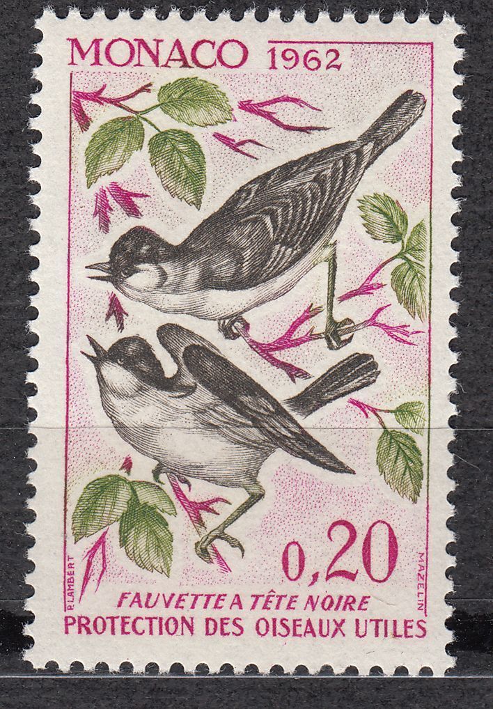 TIMBRE MONACO NEUF N 584 OISEAUX FAUVETTE A TETE NOIR 401523753051