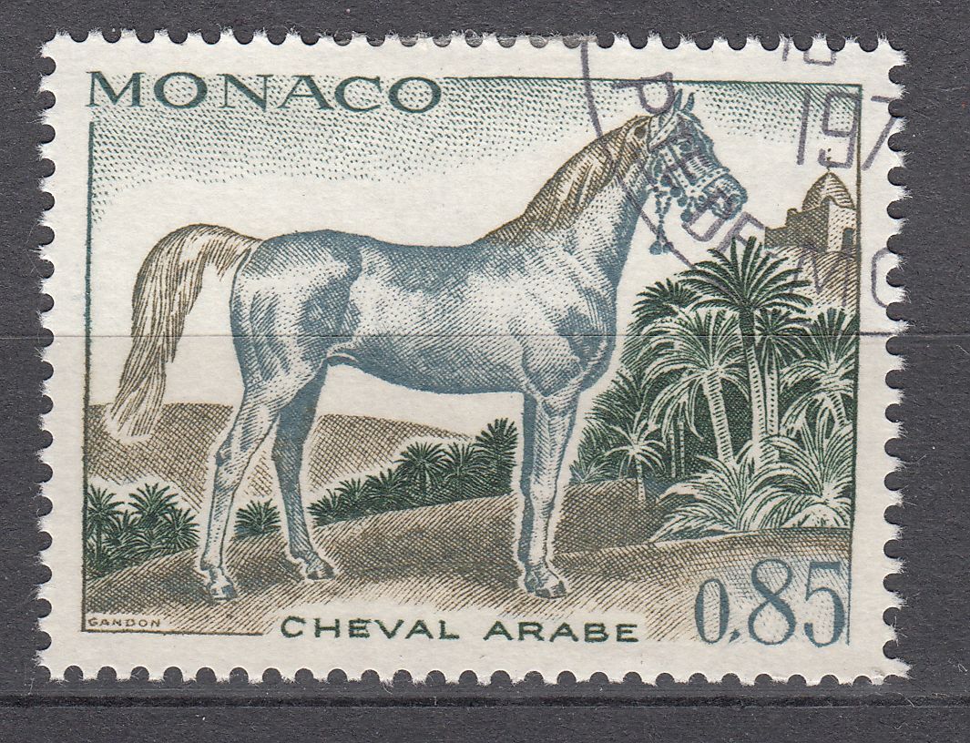 TIMBRE MONACO OBL N 837 CHEVEAUX DE SANG CHEVAL ARABE 401586018141