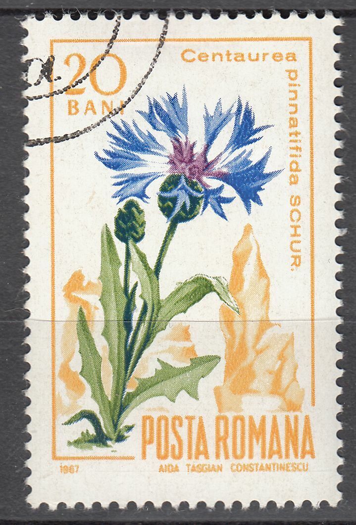 TIMBRE ROUMANIE OBL N 2304 FLORE DES CARPATES BLEUET 401998814261