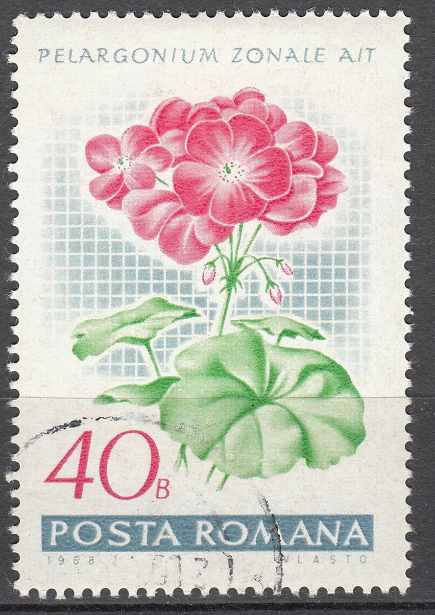 TIMBRE ROUMANIE OBL N 2391 GERANIUM PELARGONIUM ZONALE AIT 124014203361