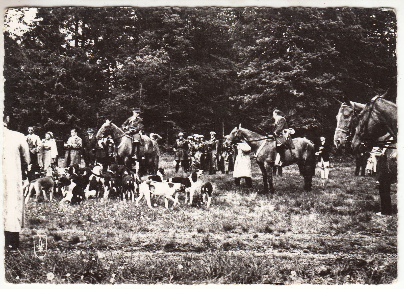 CARTE POSTALE ANIMAUX CHIEN CHEVAL CHASSE A COURRE FORET DE TRONCAIS 401476664332