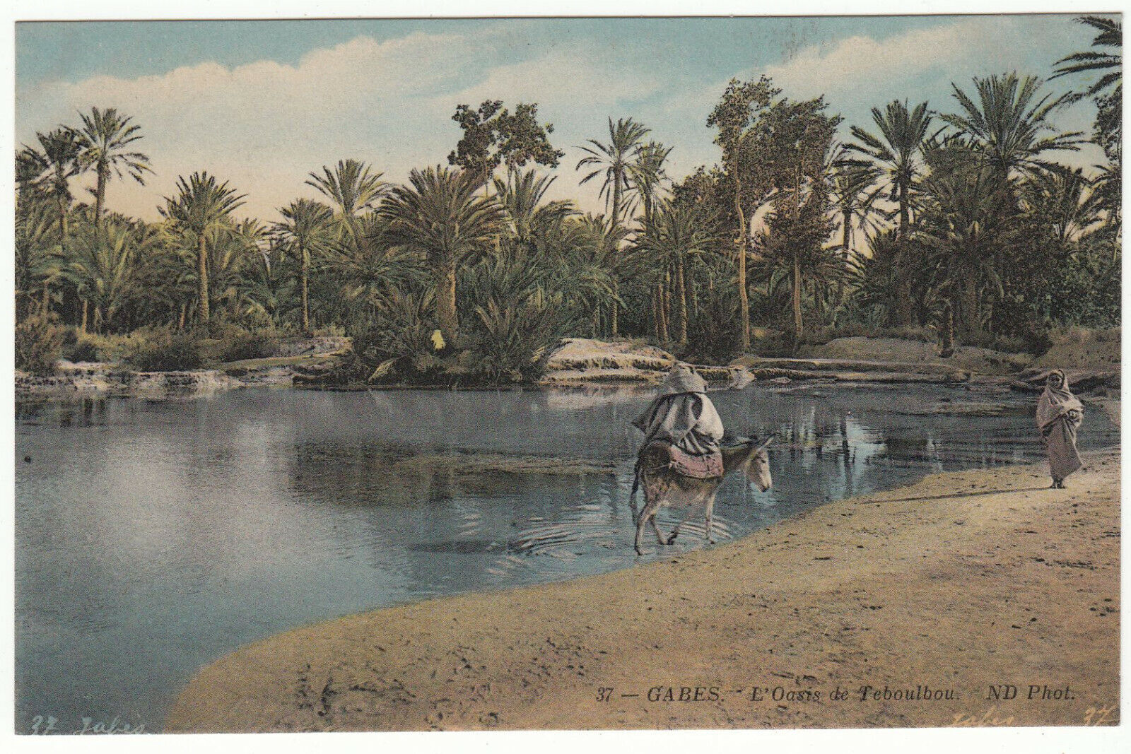 CARTE POSTALE GABES L OASIS DE TEBOULBOU 123962428882