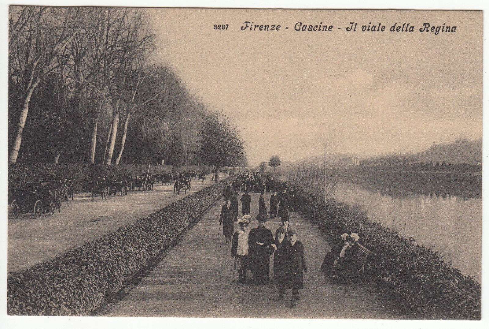 CARTE POSTALE ITALIE FIRENZE CASCINE IL VIALE DELLA REGINA 122264588012