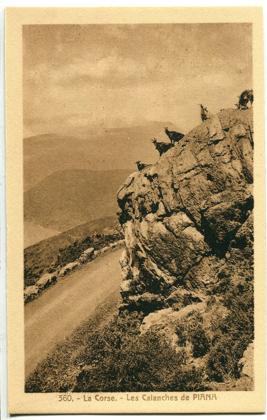 CARTE POSTALE LA CORSE LES CALANCHES DE PIANA CHEVRES 121235811382