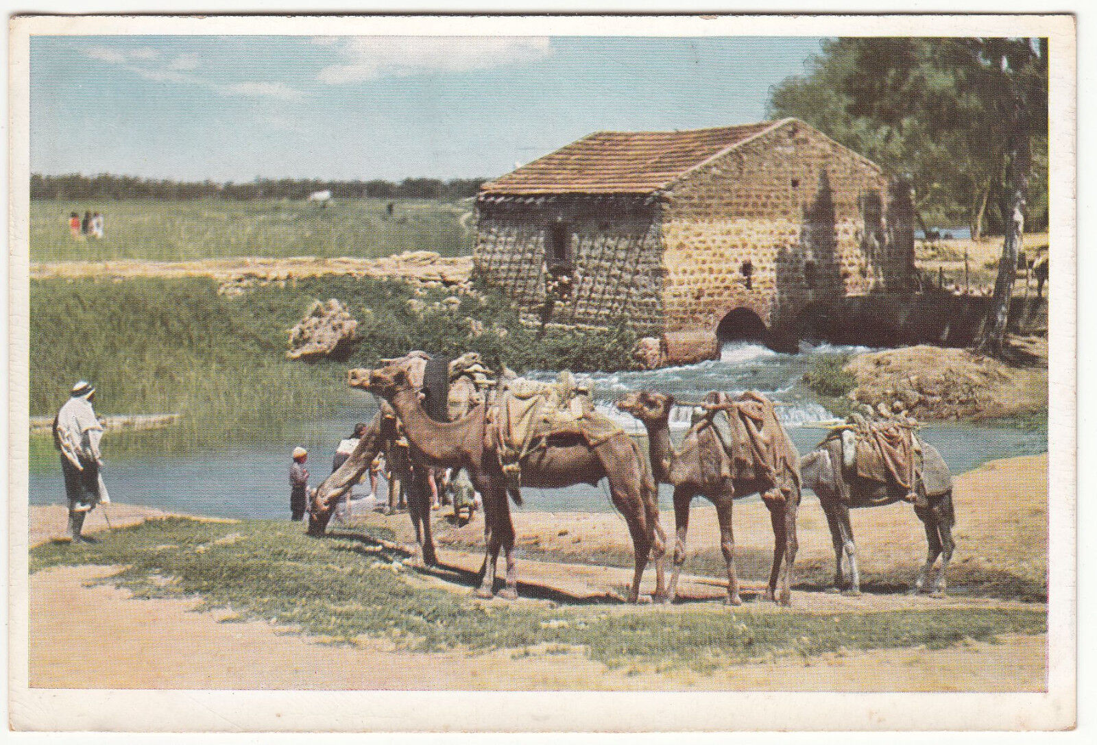 CARTE POSTALE MOULIN AU NAHR EL AOUDJA 122405574352