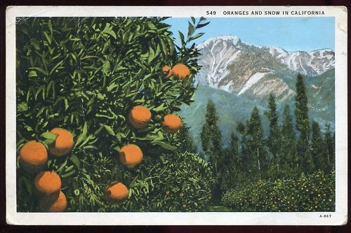 CP USA ORANGES AND SNOW IN CALIFORNIA PLIE 120680194782