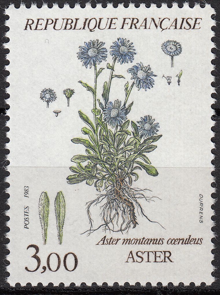 FRANCE TIMBRE NEUF N 2268 FLORE ASTER MONTANUS COERULEUS 401033726822