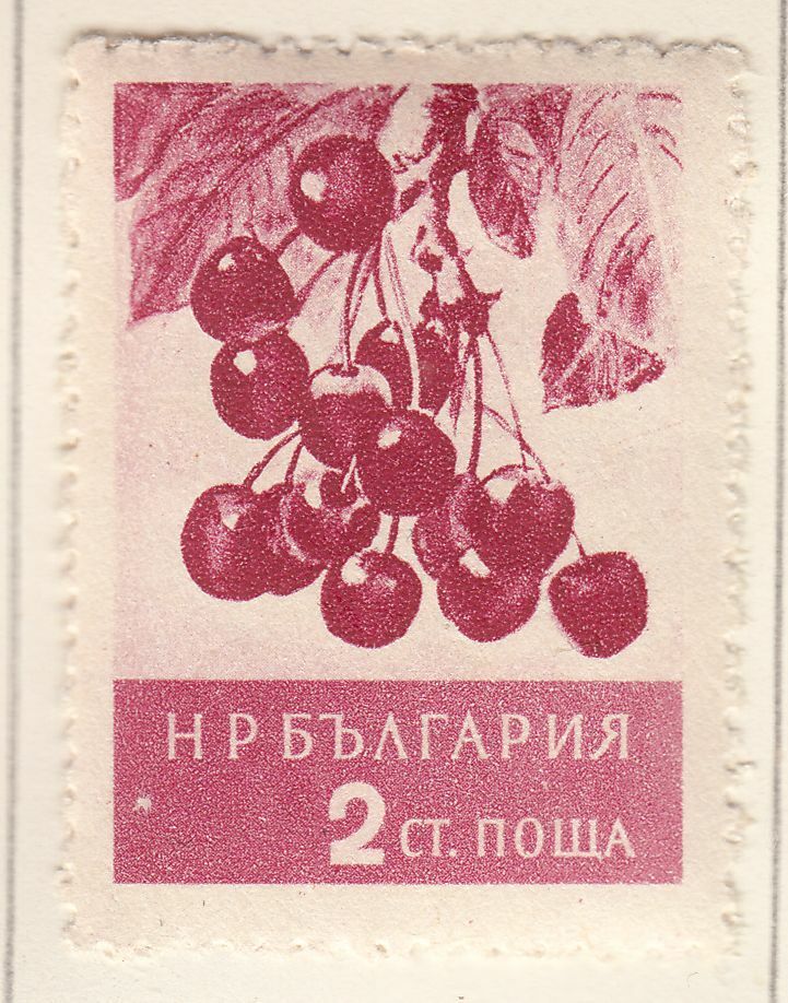 TIMBRE BULGARIE NEUF N 851 FRUITS CERISE 124050178382