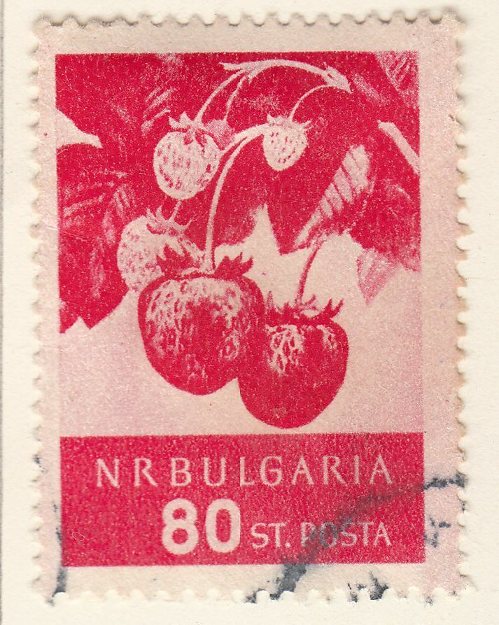 TIMBRE BULGARIE OBL N 858 FRUITS FRAISE 124050181342