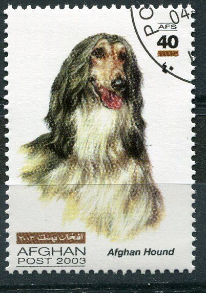 TIMBRE CHIEN AFGAN HOUND 110771997562