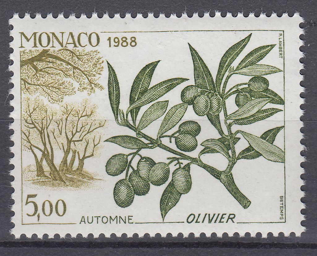 TIMBRE MONACO NEUF N 1653 FLORE L OLIVIER OLIVE EN AUTOMNE 123517128612