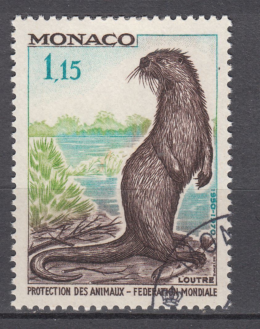 TIMBRE MONACO OBL N 814 ANIMAUX LOUTRE 401585064282